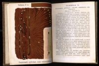 Лот: 20842963. Фото: 5. Вредители хвойного леса.( книжка...