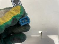 Лот: 22460134. Фото: 2. датчик положения распредвала Ford... Автозапчасти
