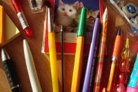 Лот: 3305426. Фото: 4. Набор канцелярии:простые карандаши... Красноярск