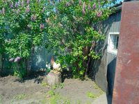 Лот: 25289737. Фото: 8. 3-комн. дача , СНТ Завода Красцветмет...