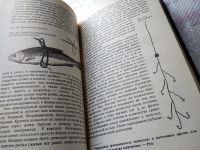 Лот: 16668272. Фото: 21. Oz. Рыбы России (к-кт из 2 книг...