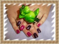 Лот: 3497913. Фото: 2. Покрытие Shellac 300 руб. Маникюр и педикюр
