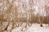 Лот: 25294806. Фото: 6. участок , ДНТ Чёрная Сопка ДНТ...