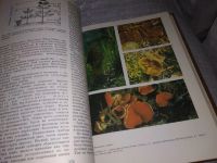 Лот: 16183841. Фото: 20. Мир растений в семи (7-ми) томах...