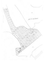 Лот: 1441664. Фото: 3. Продам зем. участок 11 сот. в... Недвижимость