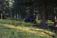 Лот: 25659013. Фото: 12. Квадроцикл LONCIN Xwolf 1000...