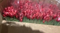 Лот: 7048778. Фото: 5. Тюльпан 10см бутон!