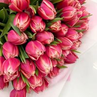 Лот: 15585070. Фото: 9. Тюльпаны Пиони-бордо / из Голландии...