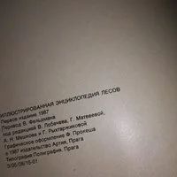 Лот: 7823335. Фото: 12. ок....(2092312)Иллюстрированная...