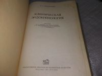 Лот: 18271845. Фото: 3. Шерешевский Н.А. Клиническая эндокринология... Литература, книги