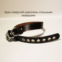 Лот: 20869851. Фото: 3. Ошейник из натуральной кожи для... Растения и животные