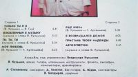 Лот: 19129953. Фото: 3. большие виниловые пластинки(одним... Красноярск