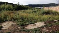 Лот: 15431621. Фото: 10. Продается участок 13 сот. , цена...