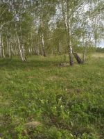 Лот: 11447413. Фото: 2. Участок 19 соток Сухая Балка. Продажа