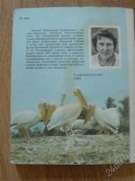 Лот: 1105106. Фото: 2. книга мир птиц. Дом, сад, досуг