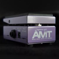 Лот: 5225837. Фото: 14. AMT Electronics WH-1 Japanese...