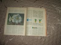 Лот: 8655913. Фото: 5. Журнал (книга) "Юный натуралист...