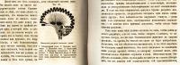 Лот: 19853941. Фото: 19. Льюис Г.Г. Физиология обыденной...