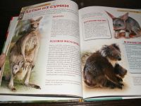 Лот: 6844240. Фото: 4. Детская энциклопедия. Детеныши... Красноярск