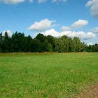Лот: 14700864. Фото: 2. Земельный участок в Емельяновском... Продажа