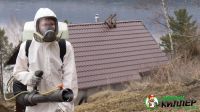 Лот: 5402680. Фото: 6. Обработка от клещей! Безупречная...