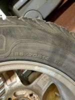 Лот: 19565276. Фото: 7. SAVA Eskimo Stud