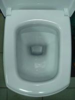 Лот: 2683500. Фото: 5. Унитаз подвесной Carina с сиденьем...