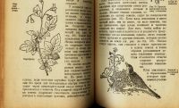 Лот: 15173877. Фото: 6. учебник ботаники 1922 год издания...