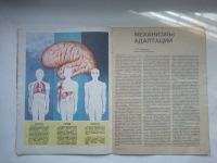 Лот: 21994022. Фото: 4. Журнал "Здоровье" 1976г. №1. Красноярск