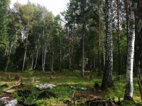 Лот: 11758333. Фото: 6. земельный участок п. Минино Новый...