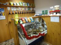 Лот: 3604888. Фото: 3. продам пивной( алкогольный) готовый... Бизнес