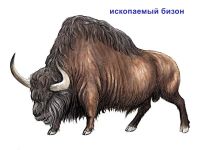 Лот: 25672903. Фото: 4. Набор палеонтологии начинающему...