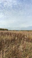Лот: 19443820. Фото: 16. участок , село Потапово село Потапово...