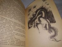 Лот: 5775196. Фото: 15. ок ...Звездоплаватели, Жозеф Рони-Старший...