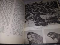 Лот: 19490235. Фото: 16. Жизнь животных в 6 томах, В наличии...