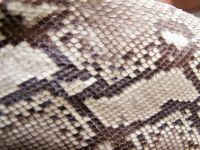 Лот: 963743. Фото: 3. Плащ из кожи питона. Одежда, обувь, галантерея