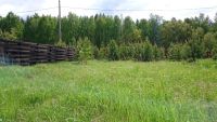 Лот: 5626248. Фото: 2. Продам участок п. Элита, сосны... Продажа