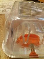 Лот: 11064322. Фото: 3. Клетка Combi 1 с игровыми туннелями... Растения и животные