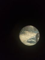 Лот: 21276157. Фото: 6. Прицел ПО4х24