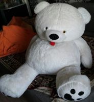 Лот: 6289317. Фото: 7. Большой медведь