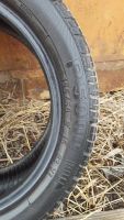 Лот: 11311788. Фото: 5. Pirelli drago P5000 195/50 r15...