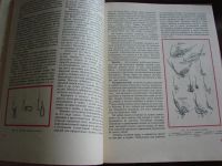 Лот: 4418345. Фото: 3. Настольная книга рыболова-спортсмена. Литература, книги