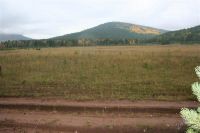 Лот: 1192805. Фото: 3. Земля 10 Га в Манском районе под... Недвижимость