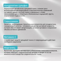 Лот: 25078712. Фото: 2. Будь Здоров Комплекс Хондроитина... Медицина