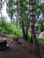 Лот: 17576655. Фото: 5. Дача на участке 1 431 кв. м. в...