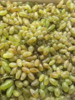 Лот: 24255341. Фото: 2. Виноград. Продукты
