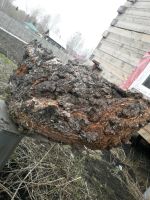 Лот: 11569960. Фото: 2. Берёзовый сувель. Ручная работа