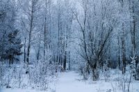 Лот: 12744592. Фото: 6. fujifilm hs20exr