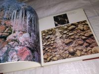 Лот: 13547669. Фото: 11. oz/вбЮ(2092322)Сакка Виктор, Алтайское...