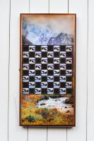 Лот: 11626405. Фото: 4. Нарды + шашки Российские малые...